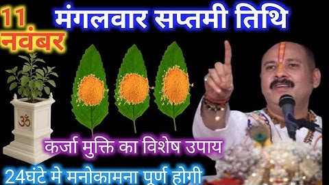 11 नवंबर मंगलवार सप्तमी तिथि को 5 तुलसी के पत्ते वाला उपाय जरुर करे || Pradeep Ji Mishra