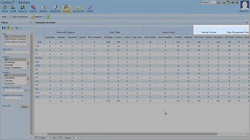 Use Custom Review States in the Data Viewer