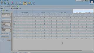 Use Custom Review States in the Data Viewer