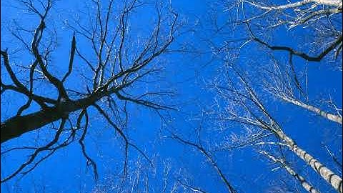 سورة هود بصوت القارئ نور الدين حمزة المغربي