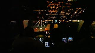 Посадка Ил-96 в Шереметьево / Ilyushin Il-96 Landing at UUEE (Cockpit view)