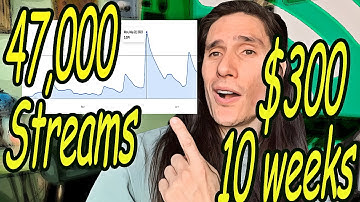 47,000 Spotify Streams in 10 weeks | 300 Dollar Budget | FB Ads