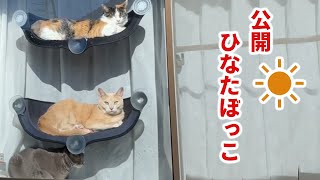こんな窓があったらかわいい♡