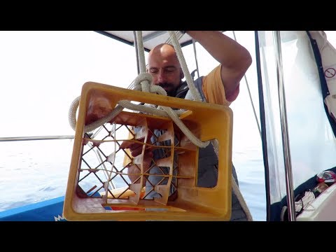 26. Storm on Our Way to New Zealand, Beer Crates as Drogues and a Nervous Breakdown while sailing