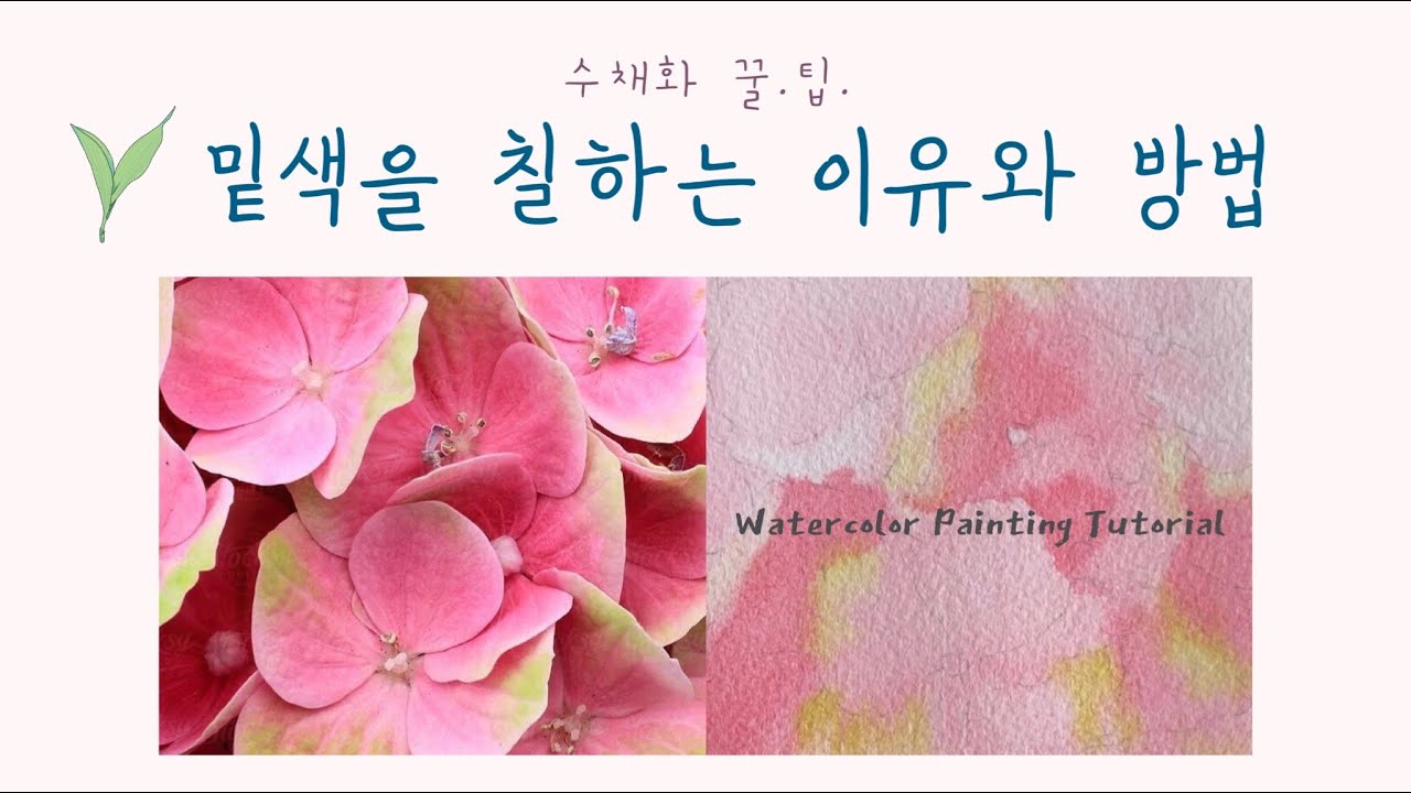 [ENG]밑색을 칠하는 이유와 방법🌸 | 초보자 수채화 꿀팁✔️|Watercolor Painting Tutorial