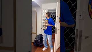 ATRAPARON A MI MASCOTA 😢cute 🍭🍏🍇❄️🍎#familiaibañez #humor #funny #fypシ゚viral