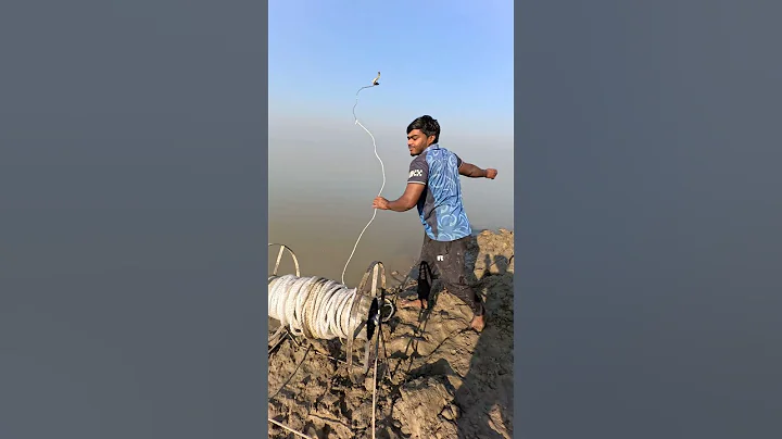 Best catfish bait throwing method by hook 19  #fishinglife  #hook  #bait  #shorts