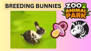 Breeding Baby Bunnies Galore - #zoo2animalparkonline - 3 sets of triplets in a row!! screenshot 3