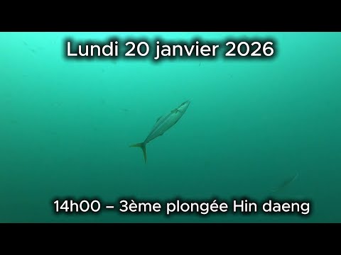 PLONGEE 3 HIN DAENG — THAILANDE 2025