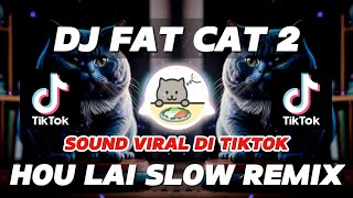 DJ FAT CAT 2 SLOW REMIX | HOU LAI LAGU MENGENANG FAT CAT VIRAL TIKTOK NEW 2024