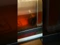 これが本当の水枕