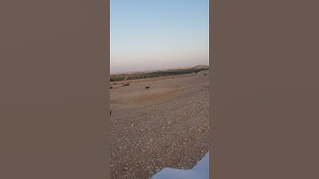 سورة التين .عبدالله محمد الجلال