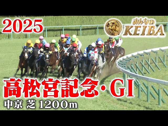 競馬パネル：トウショウボーイ「1977年 第7回高松宮杯」※カラー直線