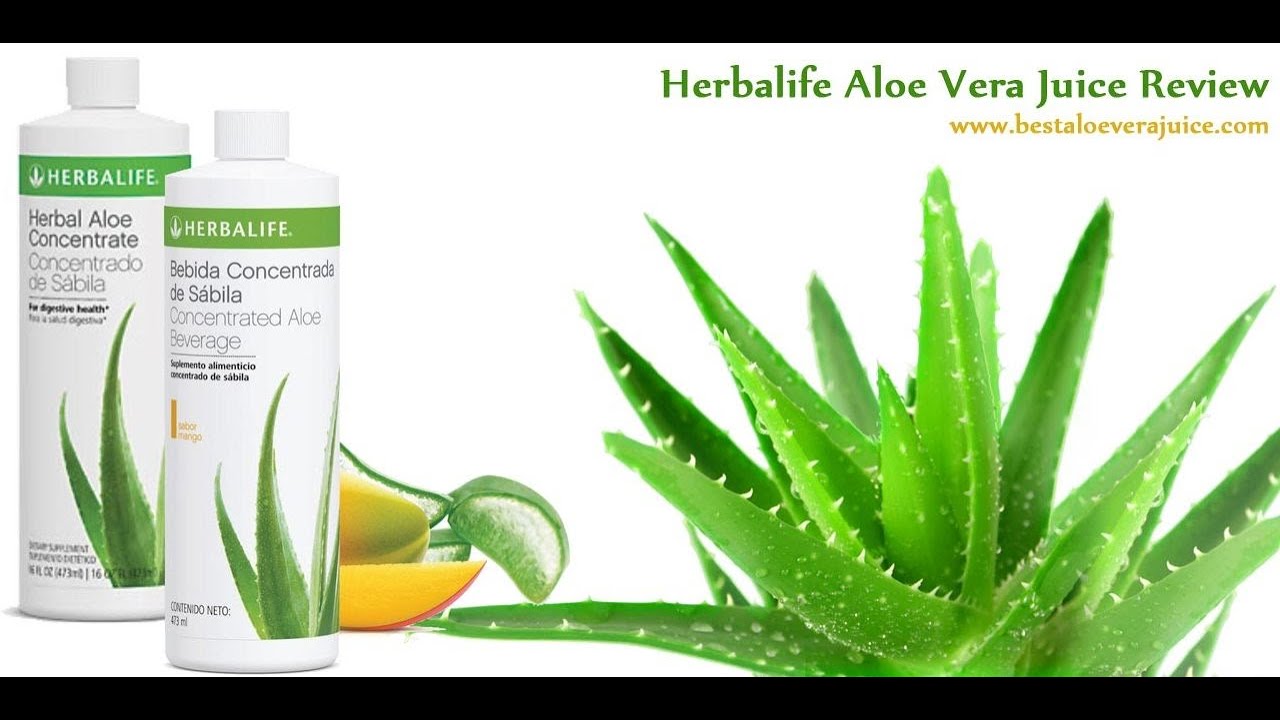 Приложение алоэ. Herbalife Herbal Aloe konsantre. Aloe Vera Oil 1l.