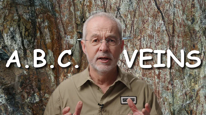 A, B and D-Type Veins in Porphyry Copper Deposits