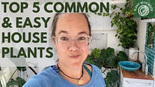 Top 5 common easy houseplants | Plant with Roos
