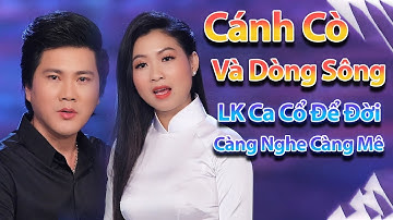 Tân Cổ Cánh Cò Và Dòng Sông | Trịnh Ngọc Huyền ft NSUT Đào Vũ Thanh | LK Ca Cổ Để Đời 2020