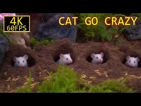 Cat TV: Sneaky Squeak Mossy Rockery! 🐭 3 Hours of Stone & Soil Hideout | 4K 60FPS for Cats
