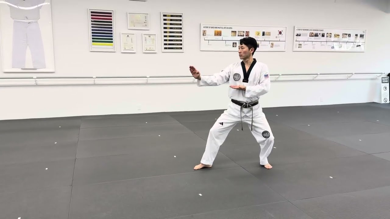 🟣🟤 Taeguek Yuk Jang Poomsae