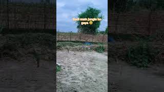 Badi main jungle ho gaya 😃 https://amzn.to/425d64B #funny #works #funnyscenes #funnymoment #funny