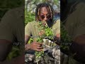 How Jamaican Food Could Save You in a Crisis