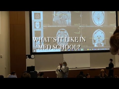 What’s It Like In Medical School? | ND MD