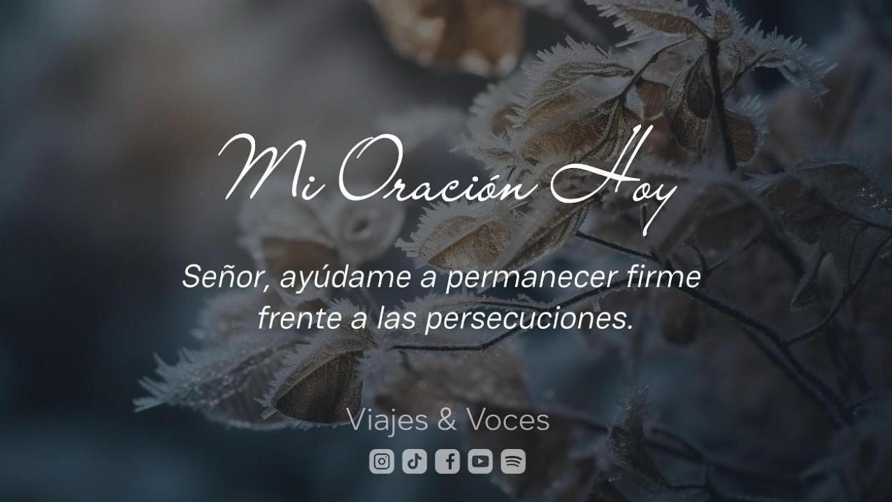 Señor, ayúdame a permanecer firme frente a las persecuciones. | Mi Oración Hoy