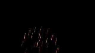 4 Tigertail and 4 D1 glitter