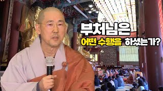 마음을 길들여 삼매에 든다 [선명상으로 찾는 마음의 평안 -제따와나 선원주지 일묵스님-]