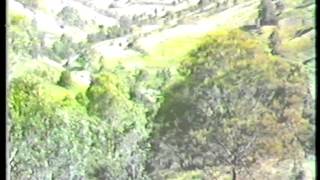 Brisbane Limited Express on Border Loop NSW 1985
