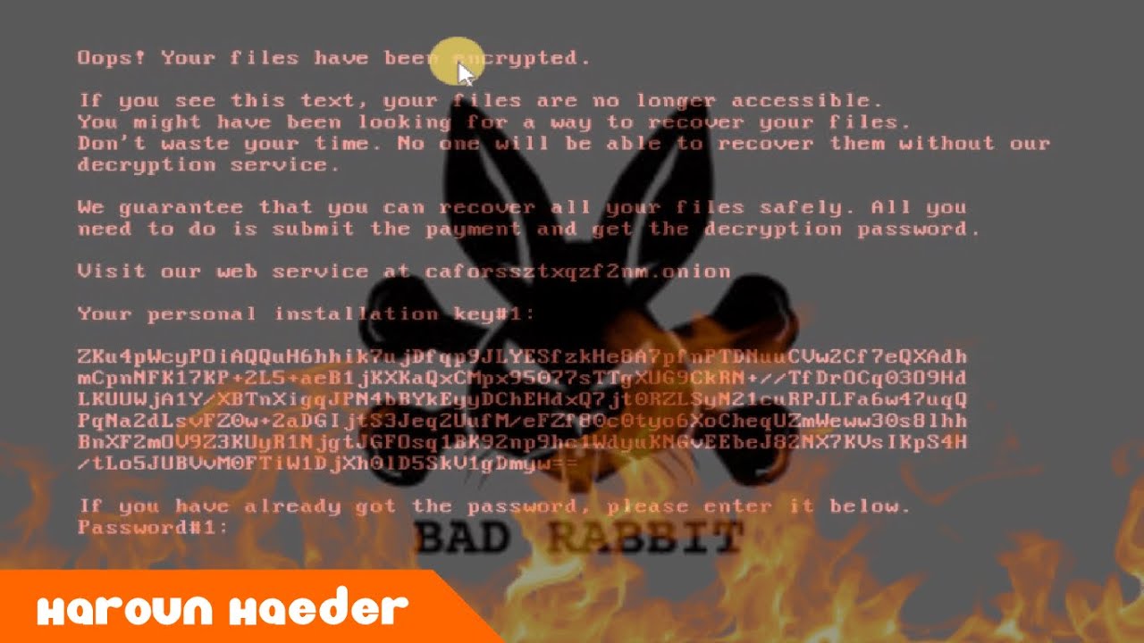 BadRabbit Ransomware Demonstration! - YouTube