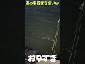 こっち来んなって………釣れるなって……ww