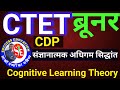 #Bruner | Cognitive learning theory | CTET में हर बार पूछा गया | Spiral Curriculum Learning