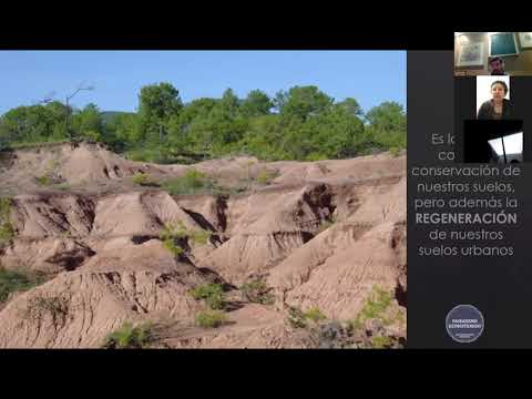 Video: Paisajismo para desastres naturales: paisajes y jardines resistentes a las tormentas