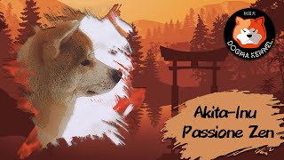 AkitaInu: Passione zen  La fantastica storia dell'allevamento Dogma Kennel
