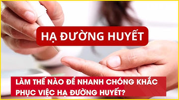 Làm thế nào để nhanh chóng khắc phục việc hạ đường huyết?| Báo Lao Động