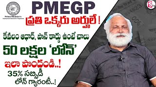 PMEGP Loan 2025 | Full Guide to Eligibility, Application Process, Documents Benefits | Pmegp scheme