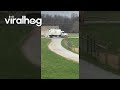 Excited Camel With Neighbor's Garbage Truck || ViralHog