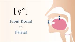 [ çʷ ] unvoiced labialized dorsal palatal non sibilant fricative