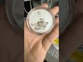 2025 Australian Perth Mint 2 Oz Lunar Snake Coin Bullion Silver Bullionexchanges