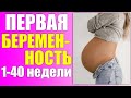 ПЕРВАЯ БЕРЕМЕННОСТЬ ОТ ЗАЧАТИЯ ДО РОЖДЕНИЯ |1-40 недели беременности
