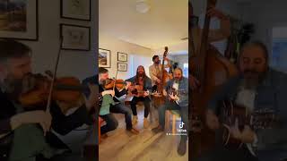 Roses Pawn Shop  sister Golden Hair Cover americana bluegrass folkrock sistergoldenhair