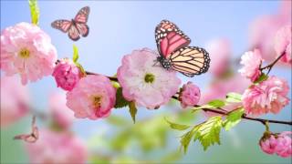 Four seasons Spring (VIVALDI) - Short version-
