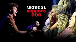 Medical Support Dog