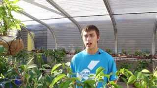 Moore Norman Technology Center: Service Careers