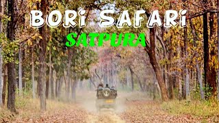 Bori Safari Lodge - luxury on a tiger trail | Bori Safari | Bhopal