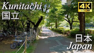 【Walk/散歩】Kunitachi, Tokyo/国立、東京