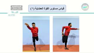 قياس مستوى القوة العضلية (1) - تربية بدنية - خامس ابتدائي فكري 5