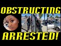Frauditor arrested for interference but doesnt go quietly