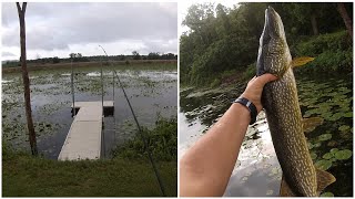 Fishing my new 20 acre lake/pond for pike (HUGE FISH) 